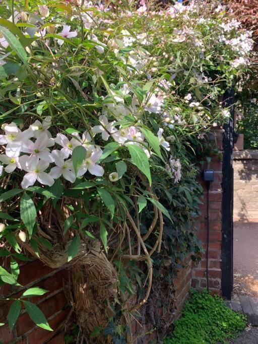 Beautiful Georgian Cottage Within A Private Walled Garden オークハム エクステリア 写真
